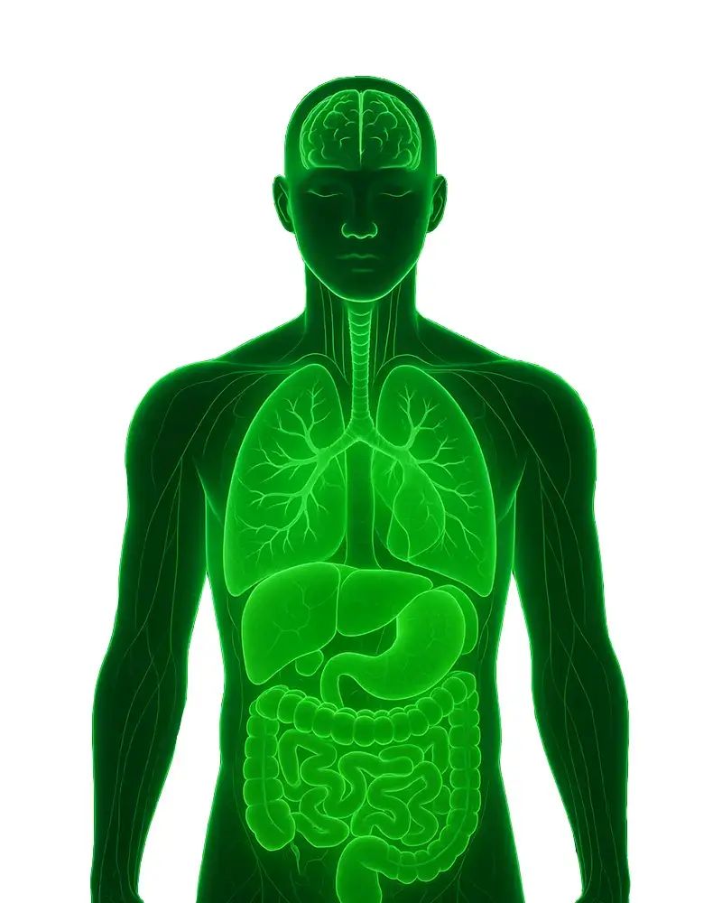 Bioresonance therapy offers non-invasive scans